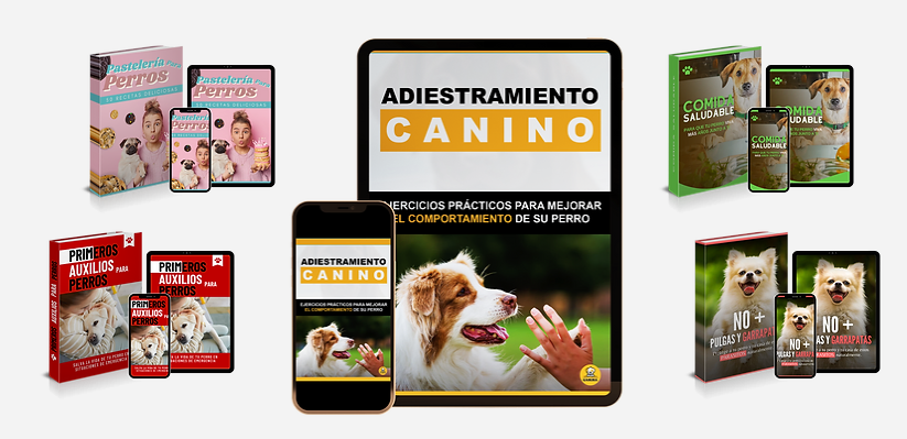 Adiestramiento Canino Oferta
